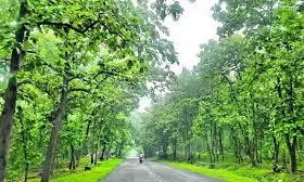 Efforts On To Arrange Water For Wildlife In Kawal Tiger Reserve