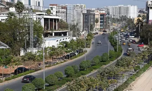 Volunteers can join Sunday’s WWF’s Hyd annual tree survey
