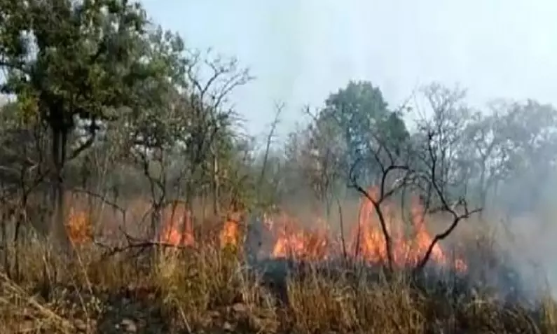 Forest fire spreads near Mahanandi Forest fire spreads near Mahanandi