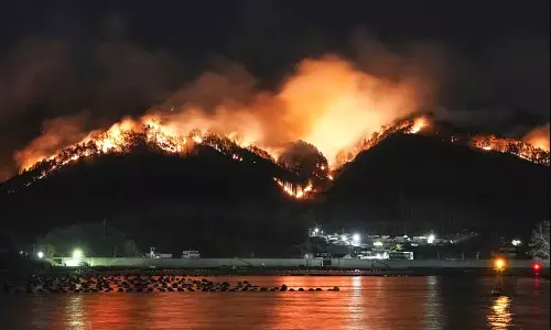Massive Forest Fire in Japan Destroys Dozens of Homes, Forces Evacuations