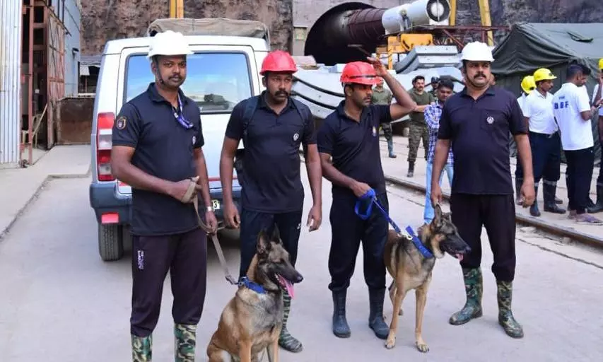 SLBC Tunnel Rescue – Officials Pin Hopes on Spots Found by Cadaver Sniffing Dogs