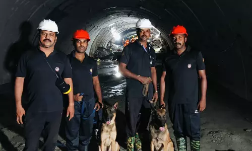 Tunnel rescue hopes now rest on Maya, Murphy