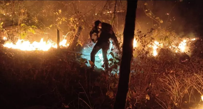 Odisha Sees Surge in Forest Fires Amid Rising Heat Odisha Sees Surge in Forest Fires Amid Rising Heat