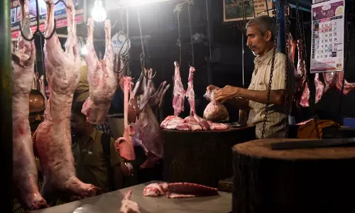 Mutton, fish turn expensive as people skip chicken