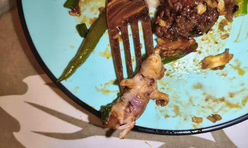 Dead Baby Rat Found in Manchurian at Airoli Hotel; Case Registered