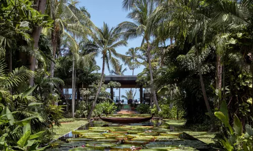 ‘White Lotus Effect’ in Full Bloom for Minor Hotels as Thailand Booking Interest Surges