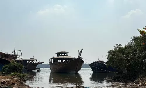 Discover Myriad Colours, Flavours, Beauty in God’s Own Country