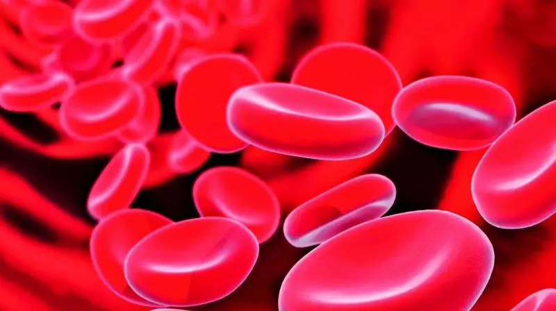 1,094 thalassemia patients undergoing treatment in AP