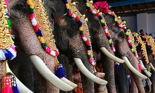 Kerala Temple Ends 120-Year Tradition of Elephant Parade