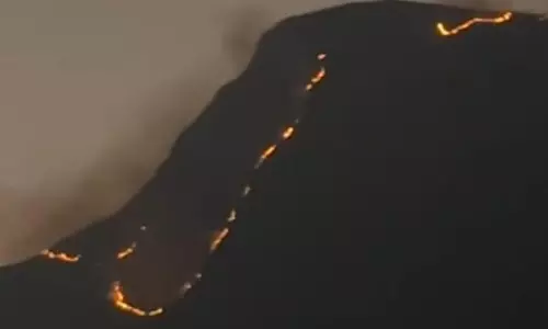 Forest Fires Rage in Western Ghats, Raise Ecological Alarm