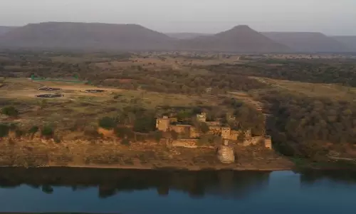 Stone Age Rock Art Discovered in Kuno National Park In MP