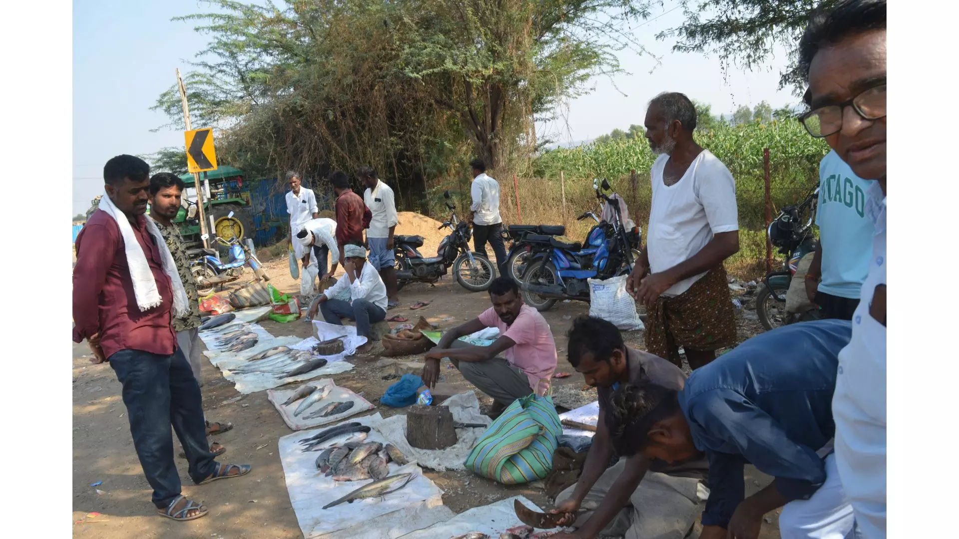 People flock to irrigation projects to get fish cheaper