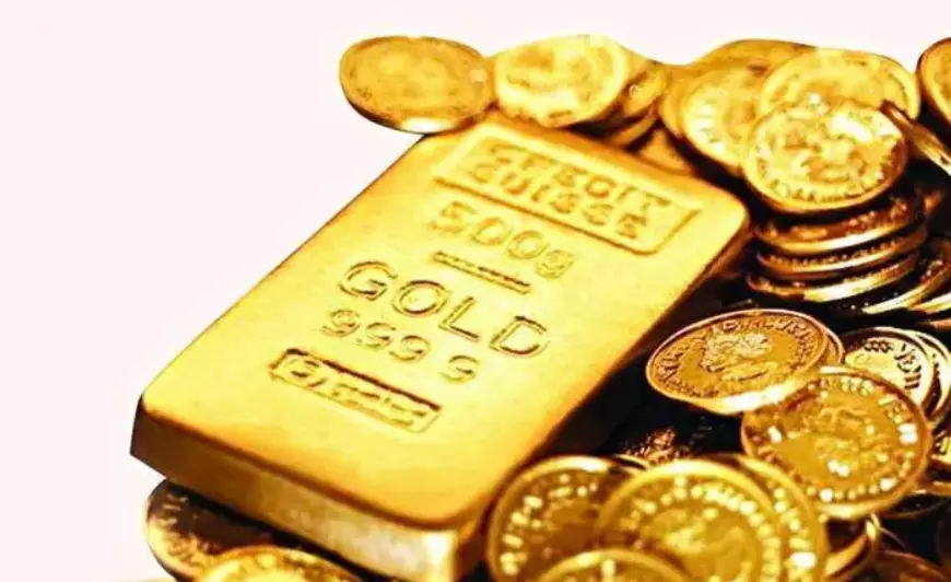 Thieves Decamp With 59 Kg Gold From Canara Bank Mangoli Branch In Karnataka