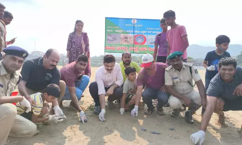 2,500 Olive Ridleys released into sea from Karwar-Ankola coastline