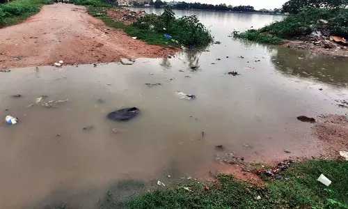 Hyderabad: Unkempt Saroornagar Lake Poses Major Health Hazard