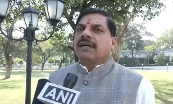 Mauganj violence: MP CM Mohan Yadav promises action against perpetrators