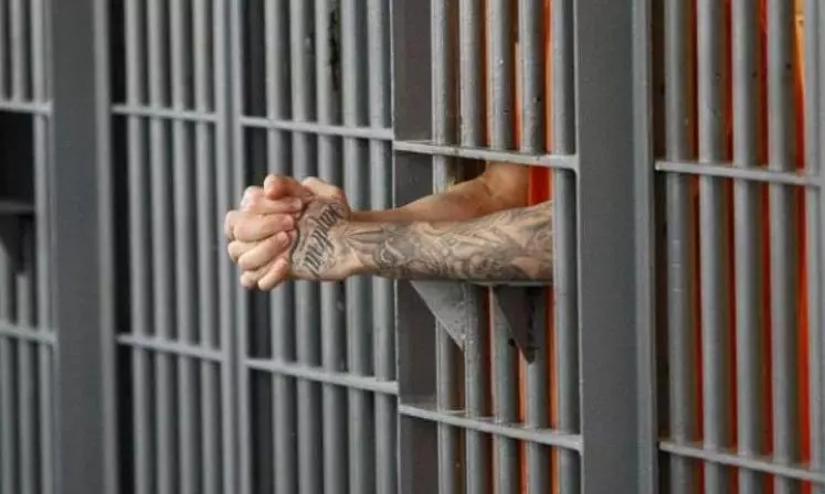 New immigration Bill proposes 7-year jail for forged documents New immigration Bill proposes 7-year jail for forged documents