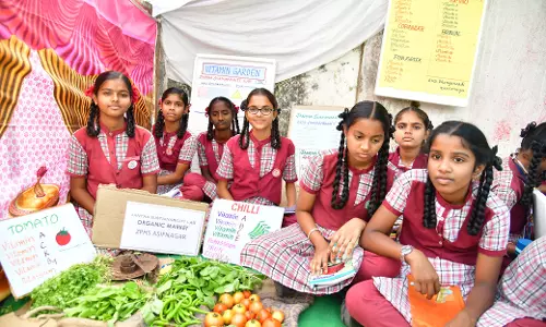 Govt School Students Sell Organic Produce in Sircilla