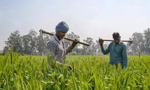 RARS proposes to develop scientific beekeeping in agency