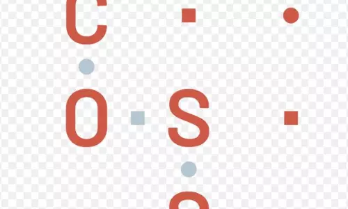 Brazil’s Ministry for Management and Innovation in Public Services collab with IIIT-Bangalore Brazil’s Ministry for Management and Innovation in Public Services collab with IIIT-Bangalore