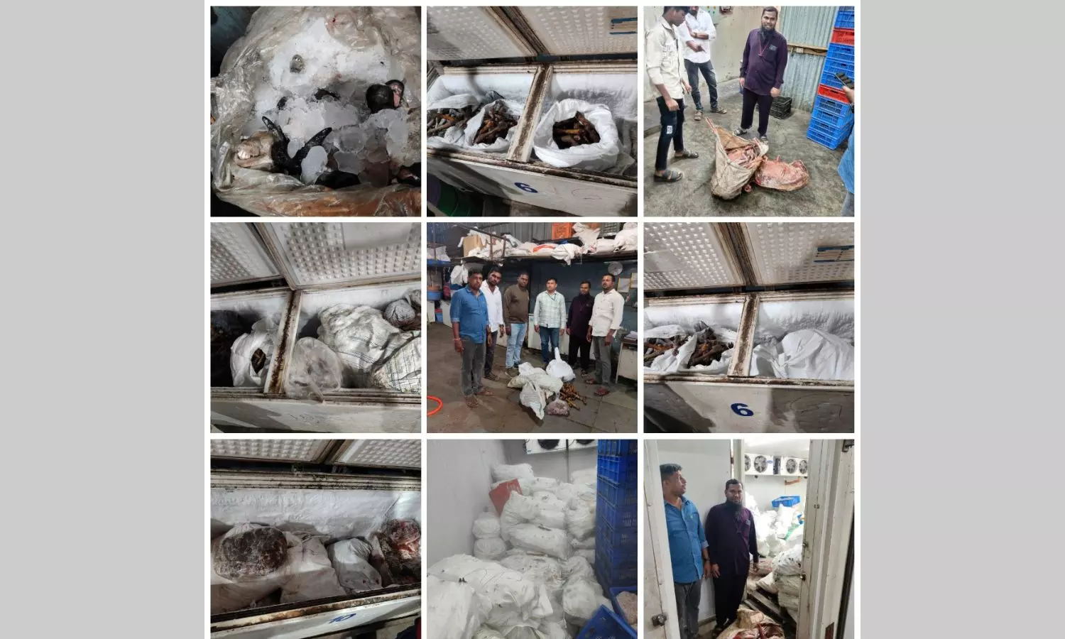Stale mutton worth 8 lakh seized in Hyderabad Stale mutton worth 8 lakh seized in Hyderabad