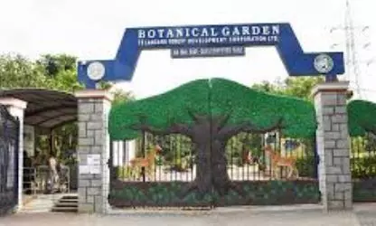 Botanical Garden to Host Forests and Foods Event on March 21
