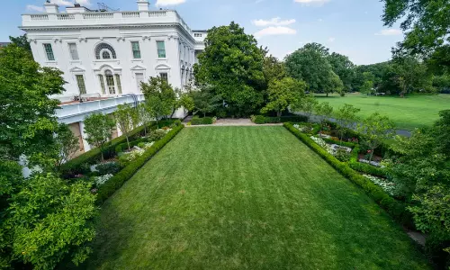 Trump Proposes Concrete Patio Over White House Rose Garden