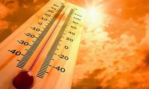 Heat waves predicted in 49 mandals in Andhra Pradesh