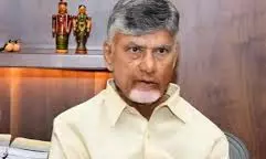 Naidu wants AP to collect central funds due by March end