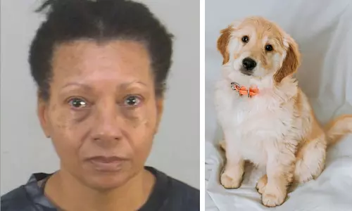 Woman held for drowning dog in Florida airport bathroom