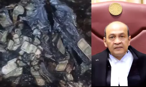 SC uploads video of burnt cash on website