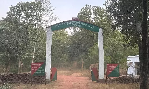 MP: Collector accused of driving private vehicle into tiger reserve core area; probe on MP: Collector accused of driving private vehicle into tiger reserve core area; probe on