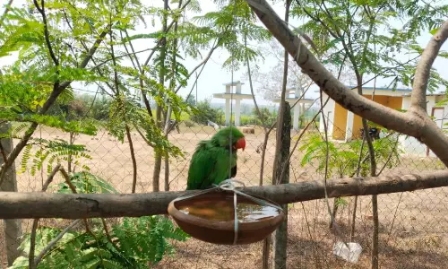 Mulugu sets up cooling centres, water points to beat heat