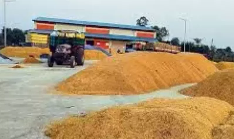 Women SHGs To Be Roped In for Paddy Procurement Women SHGs To Be Roped In for Paddy Procurement