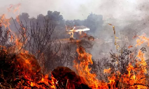 Fire Risk Engulfs Telangana Forests: Study