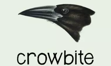 Names, Places, Animals, And Things