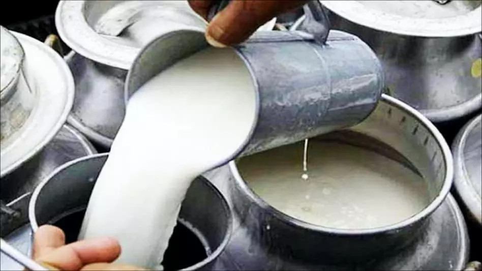 Over 885 Kg of Adulterated Dairy Products Seized in Dhanbad