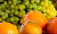 Sweet oranges identified as One District One Product for Nalgonda: MoFPI