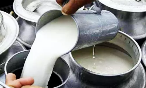 Over 885 Kg of Adulterated Dairy Products Seized in Dhanbad
