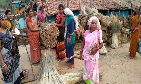Adivasis Get Fair Price in Auction of Hill Brooms