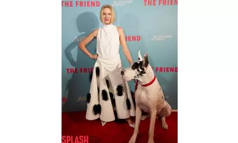 Naomi Watts Twins with Great Dane
