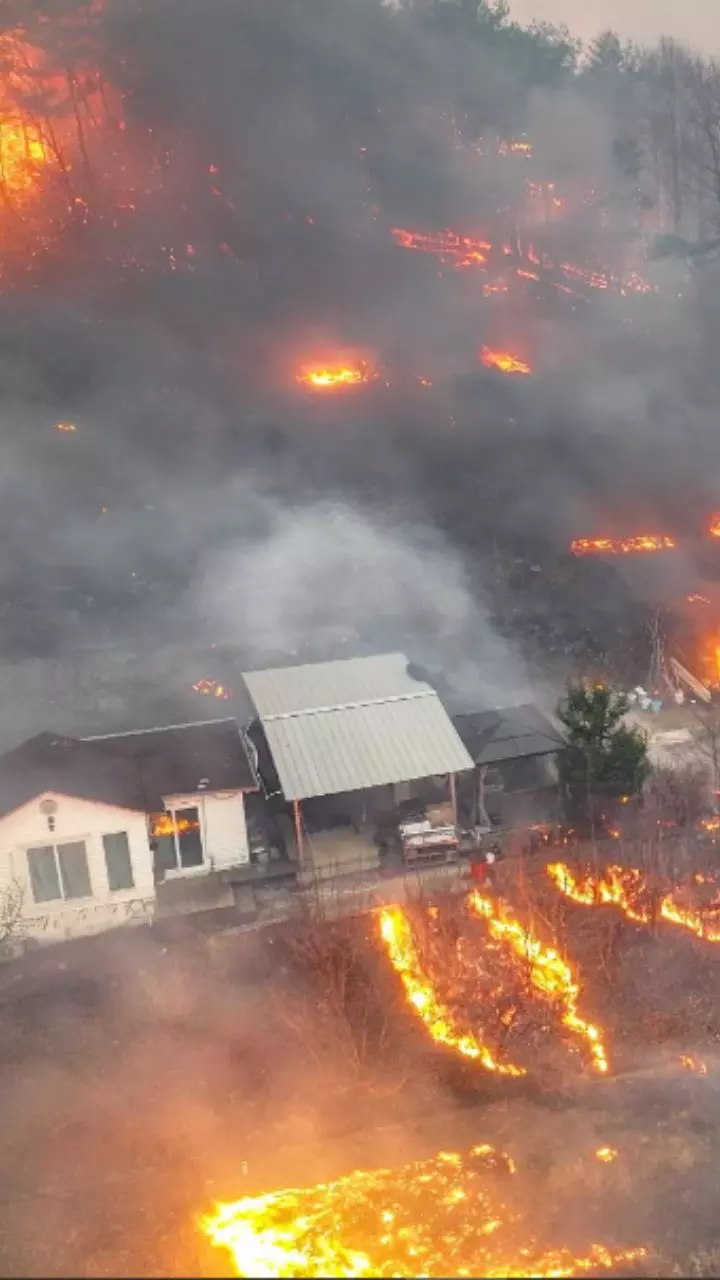 South Korea Hit with Worst-Ever Wildfires