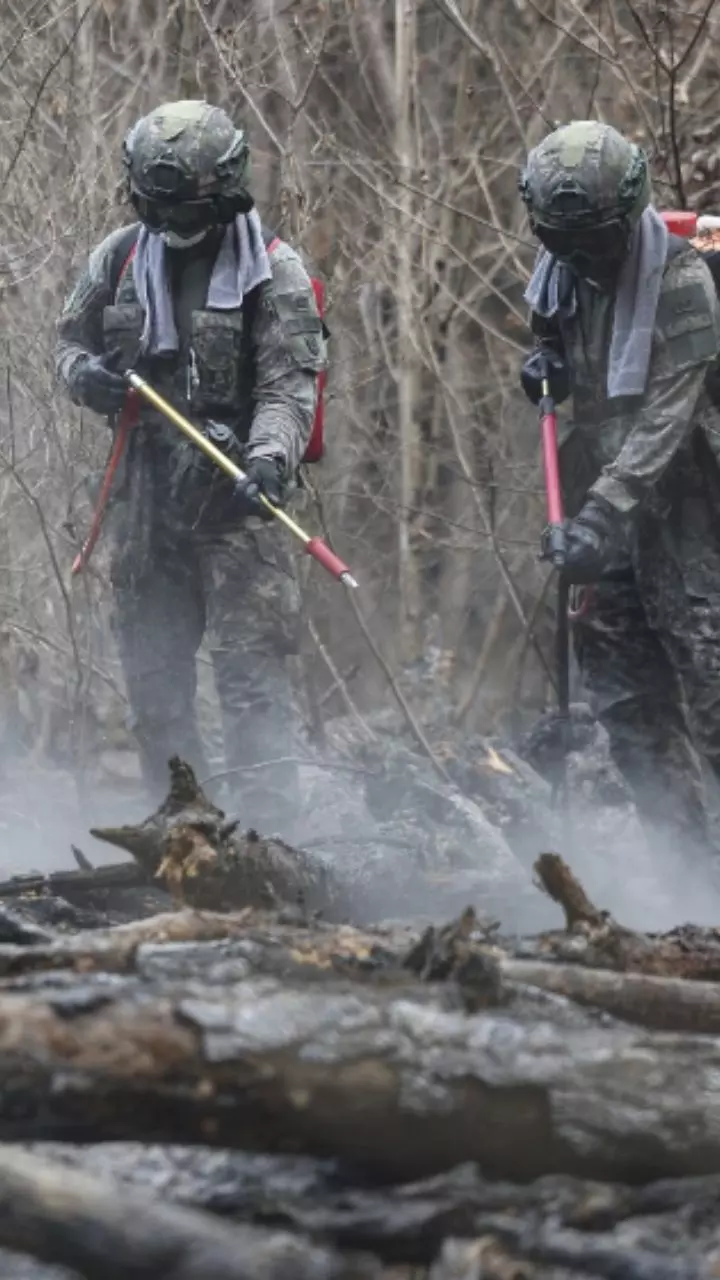 South Korea Hit with Worst-Ever Wildfires