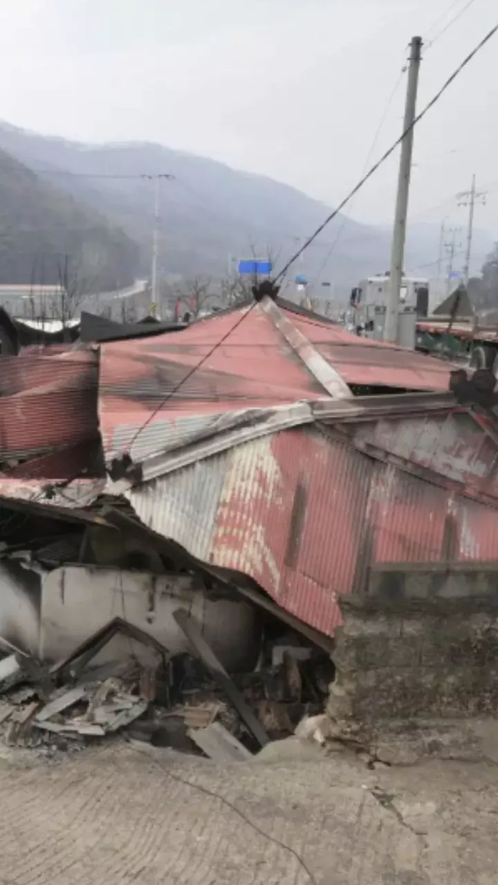 South Korea Hit with Worst-Ever Wildfires