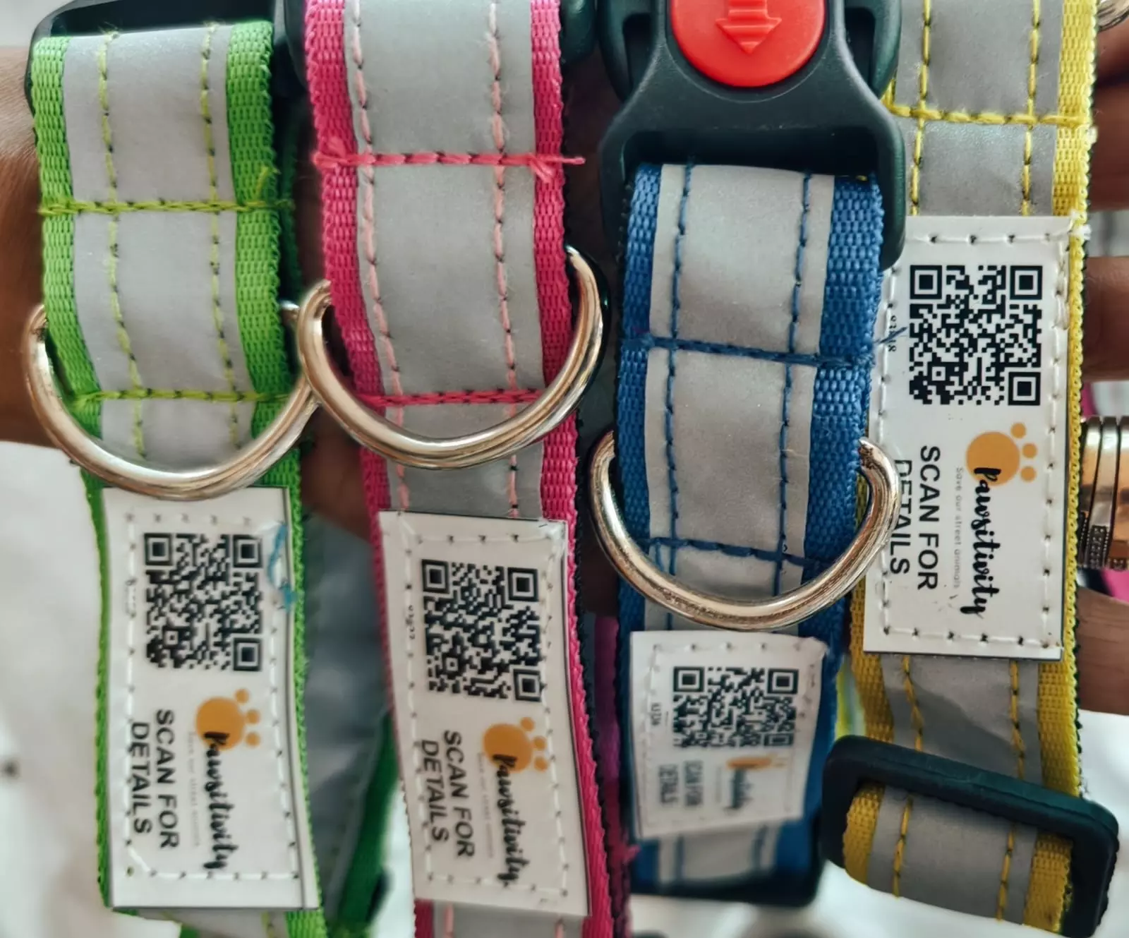 Anantapur: Stray dogs to get QR codes