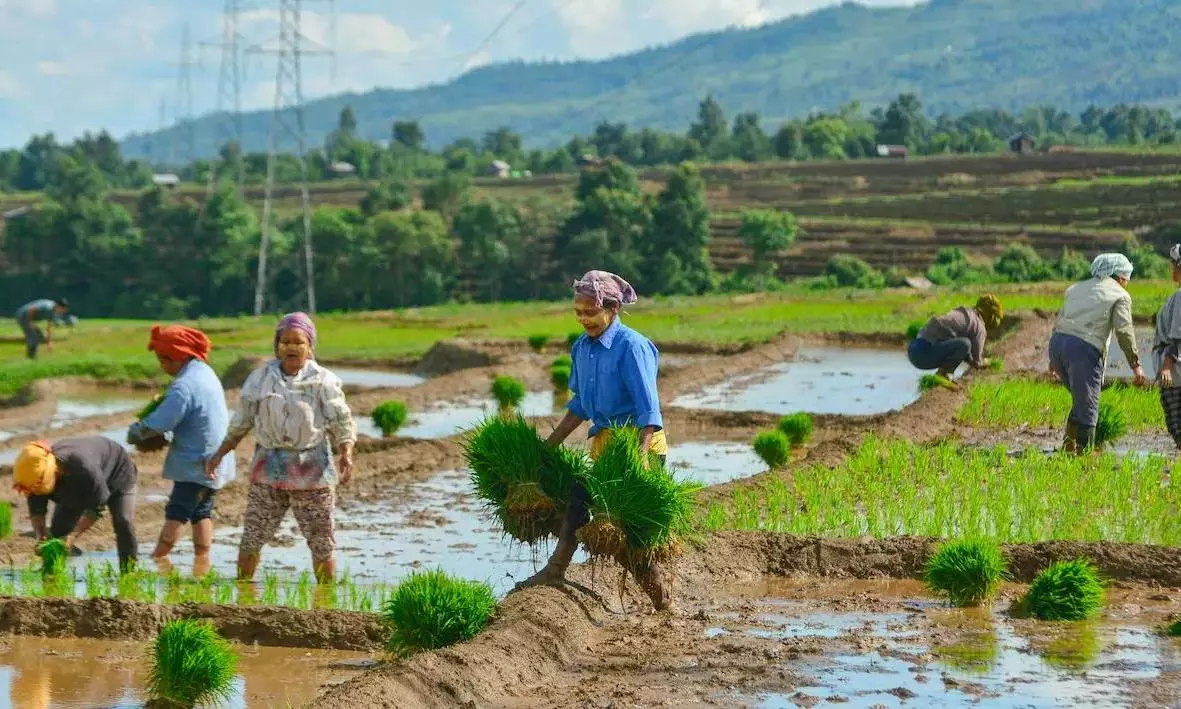 Names of loan waiver, Rythu Bharosa sops to be published at gram panchayat offices