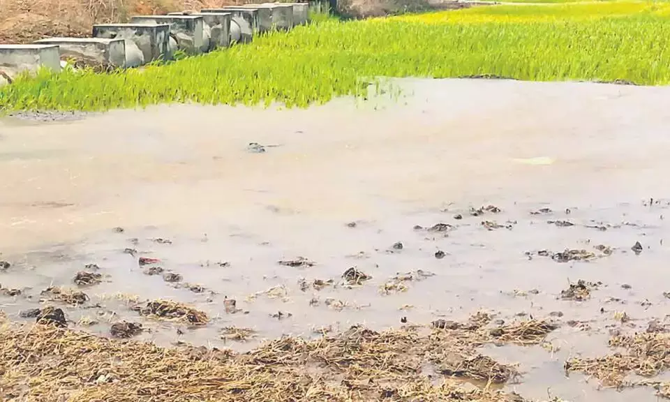 Devadula Lift Irrigation Halted After Big Tunnel Leak