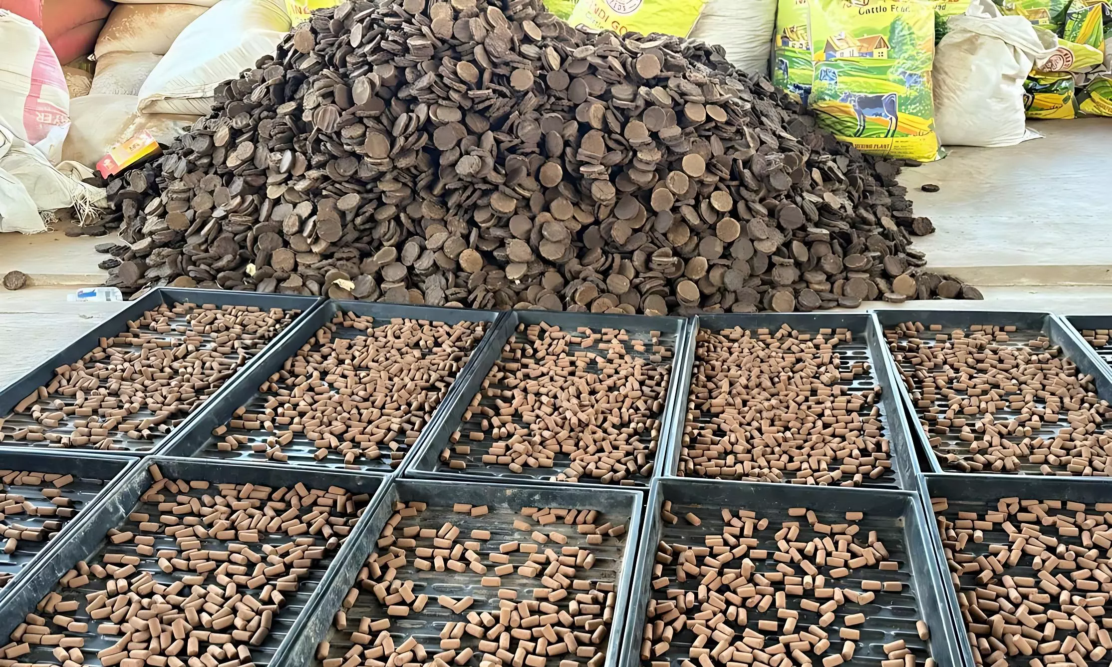 Srisailam Goshala Boosts Temple Revenue With Cow-Based Products