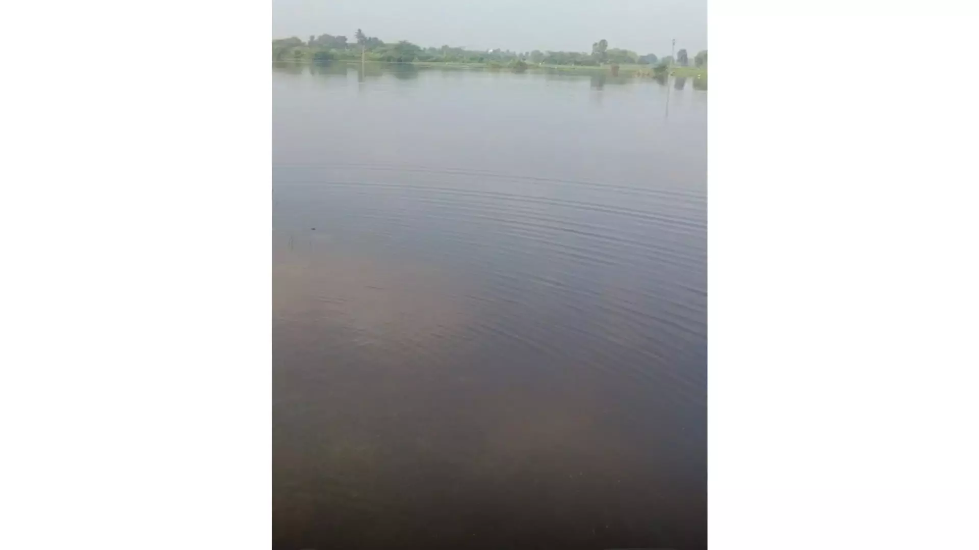 Farmers unite to replenish irrigation tank, save crops in Kammarigudem