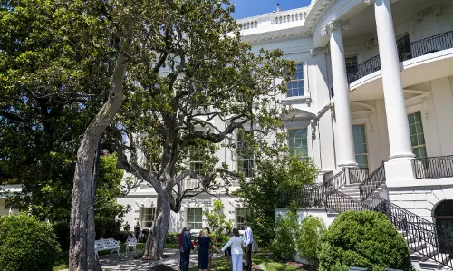 White House’s Historic Magnolia Tree to Be Removed White House’s Historic Magnolia Tree to Be Removed